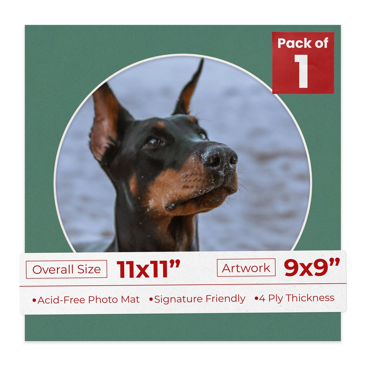 Celtic Green Mat Board for 11x11 Frames - Circle Opening for 9x9 Photos